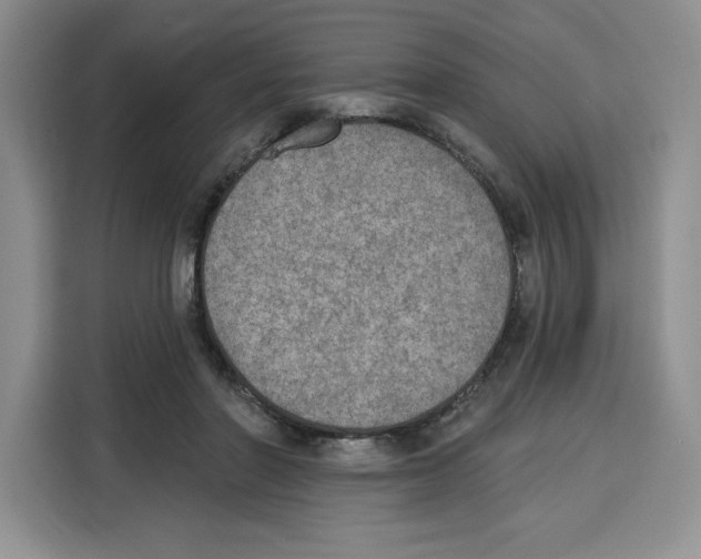 X0000115070406200911241126