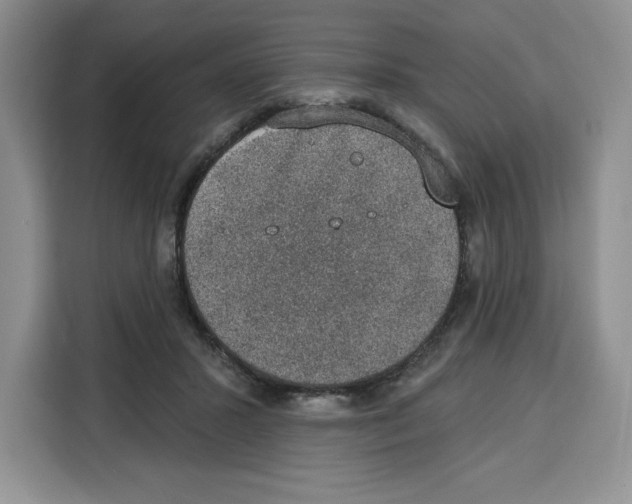 X0000115070407200911241126