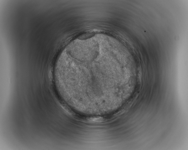 X0000115070410200911241126