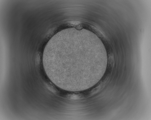 X0000115070412200911241126