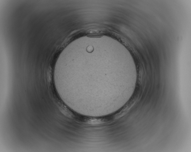 X0000115070413200911241126