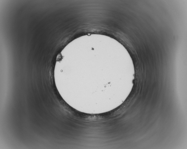 X0000115070415200911241126