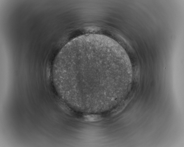 X0000115070417200911241126