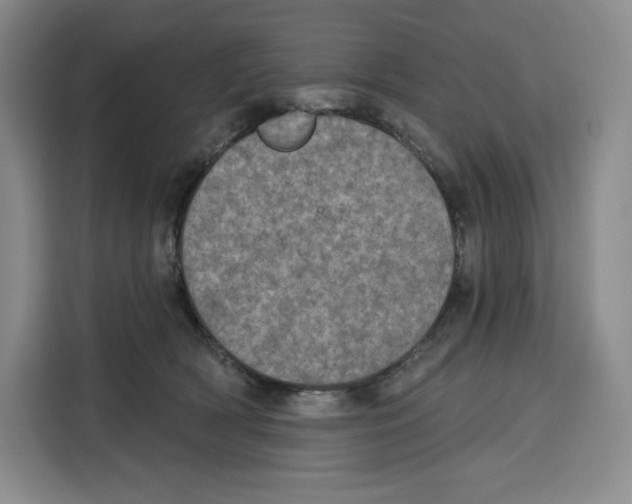 X0000115070418200911241126