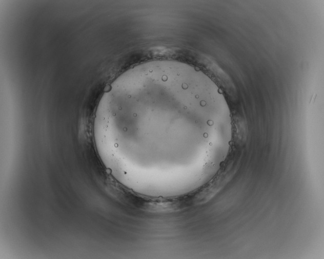 X0000115070419200911241126