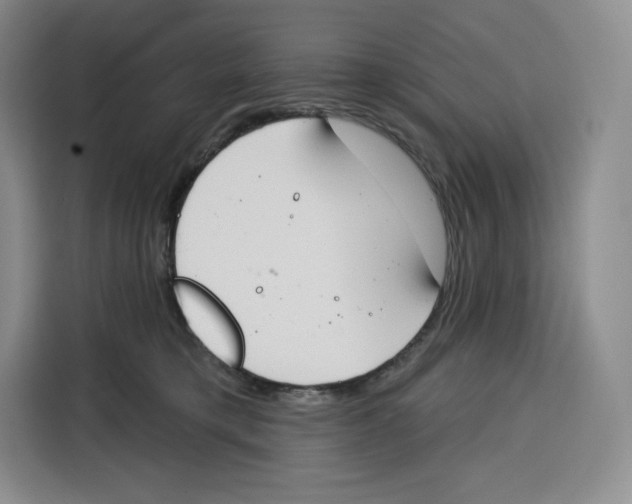 X0000115070421200911241126