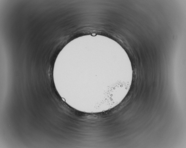 X0000115070423200911241126