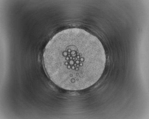 X0000115070424200911241126