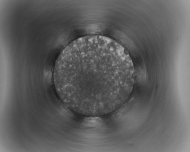 X0000115070427200911241126
