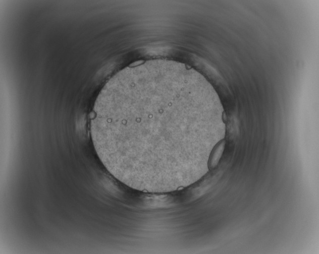 X0000115070428200911241126