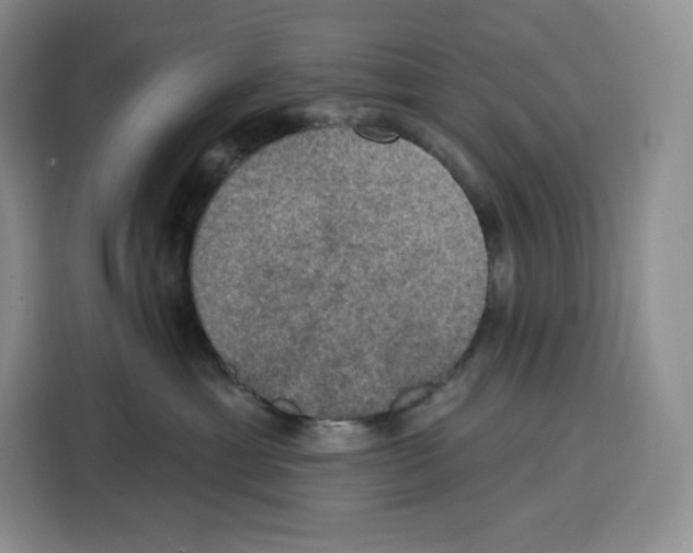 X0000115070429200911241126