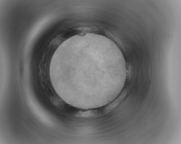 X0000115070430200911241126
