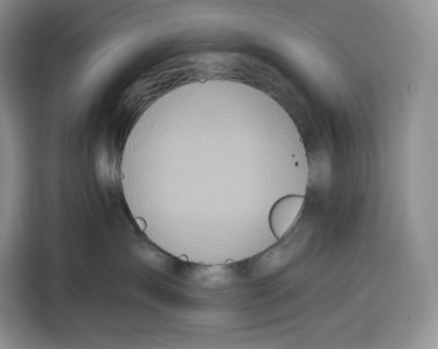 X0000115070431200911241126