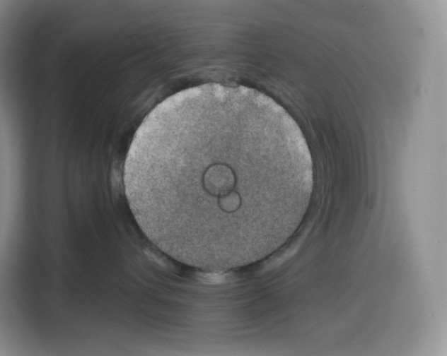 X0000115070432200911241126