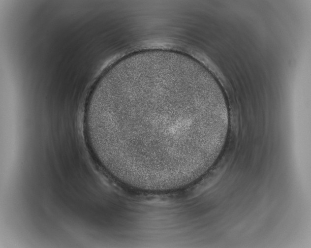 X0000115070434200911241125