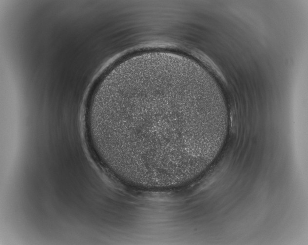X0000115070436200911241125
