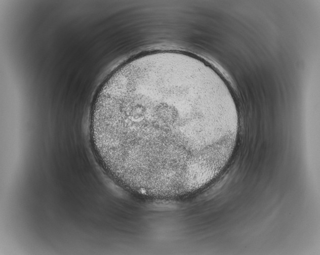 X0000115070437200911241125