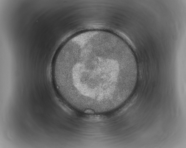 X0000115070439200911241125