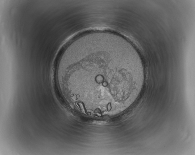 X0000115070440200911241125