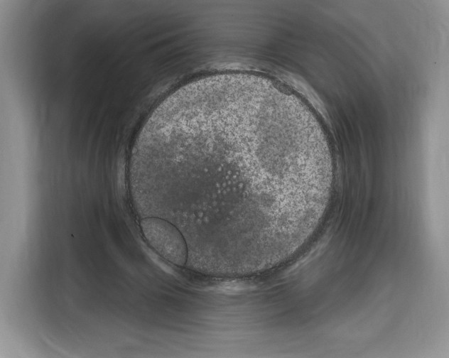 X0000115070441200911241125