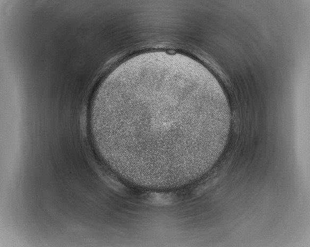 X0000115070442200911241125