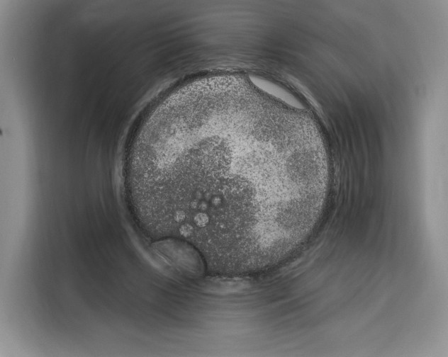 X0000115070443200911241125