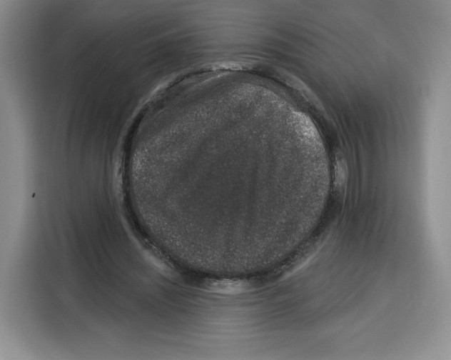 X0000115070444200911241125