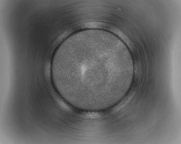 X0000115070445200911241125