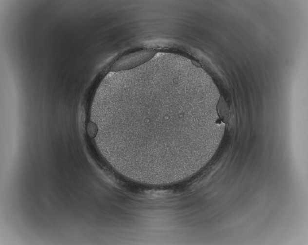 X0000115070448200911241125