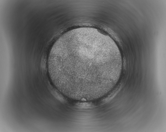 X0000115070449200911241125