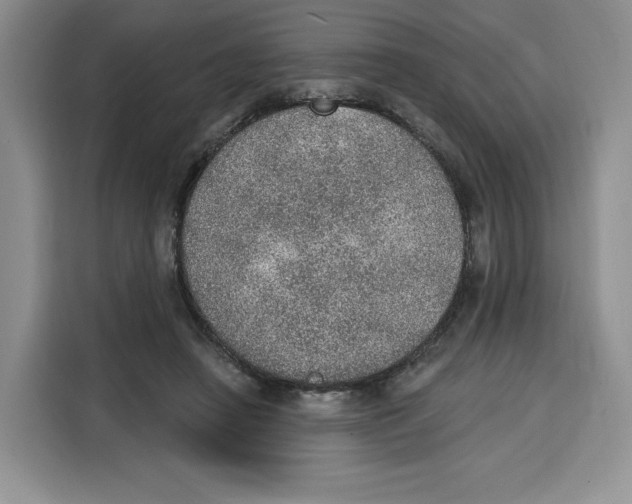 X0000115070450200911241125