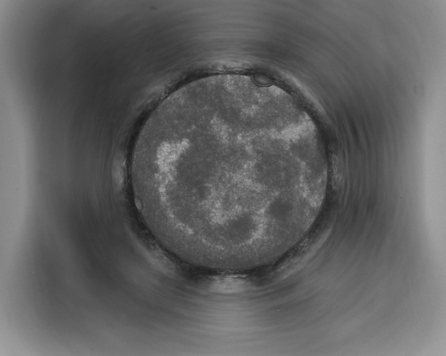 X0000115070451200911241125