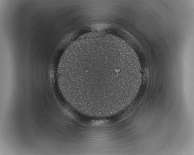 X0000115070452200911241125