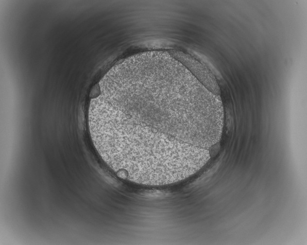 X0000115070453200911241125