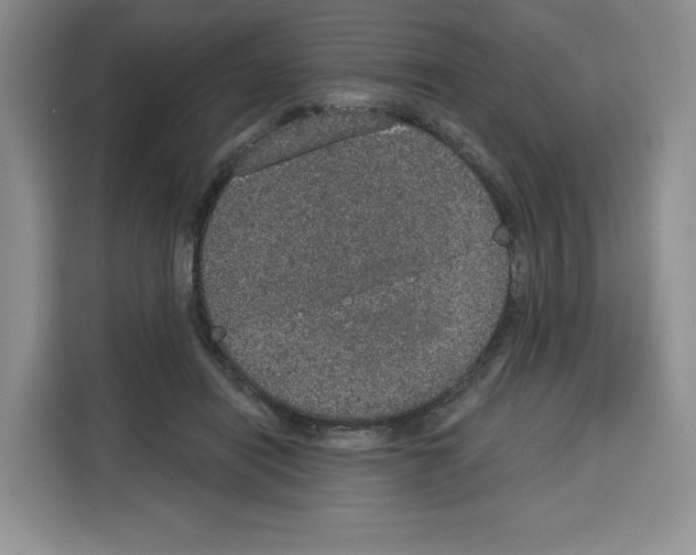 X0000115070454200911241125