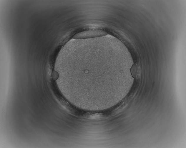 X0000115070456200911241125