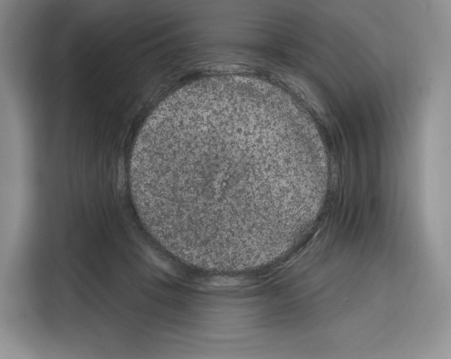 X0000115070457200911241125