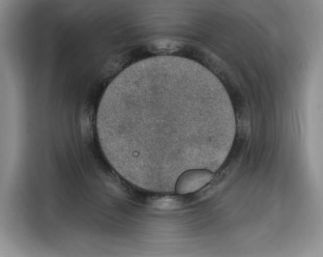 X0000115070460200911241125