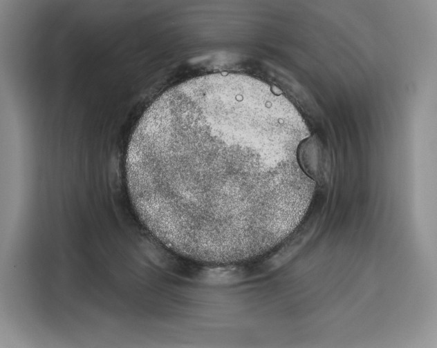 X0000115070461200911241125
