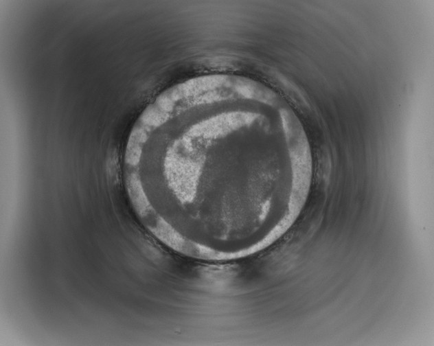 X0000115070465200911241125