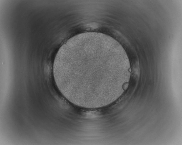 X0000115070468200911241126