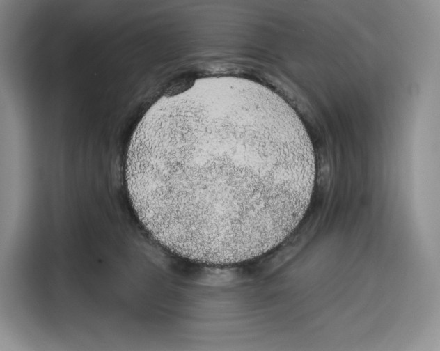 X0000115070469200911241126