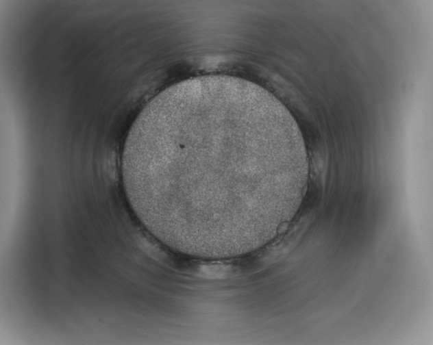 X0000115070470200911241126