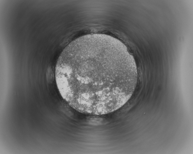 X0000115070471200911241126