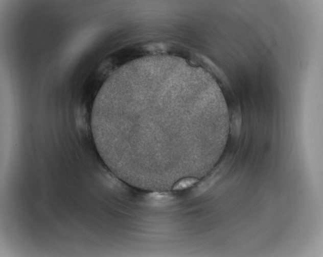 X0000115070477200911241126