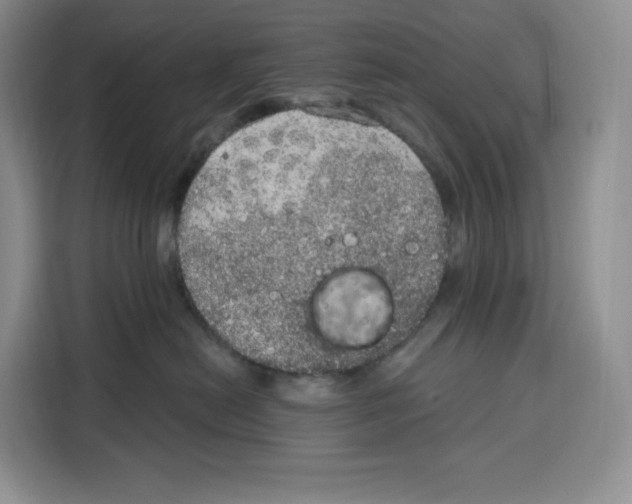 X0000115070478200911241126