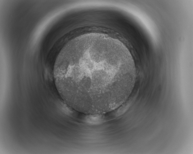X0000115070479200911241126