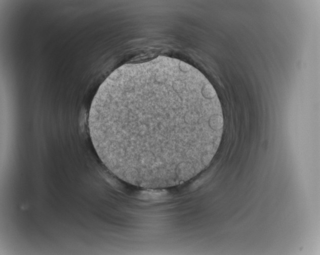 X0000115070480200911241126