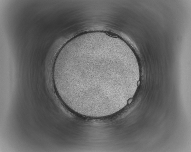 X0000115070481200911241125