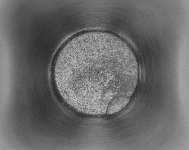 X0000115070483200911241125
